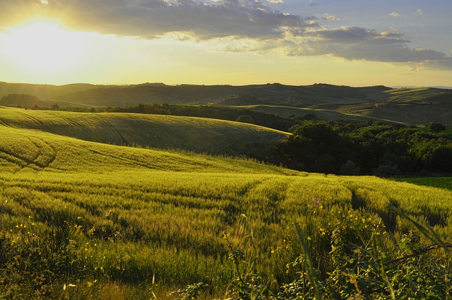 Travel Tuscany Crete Senesi Bike Tour