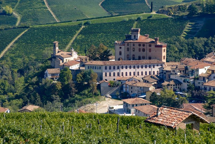 Travel wine Italy Barolo