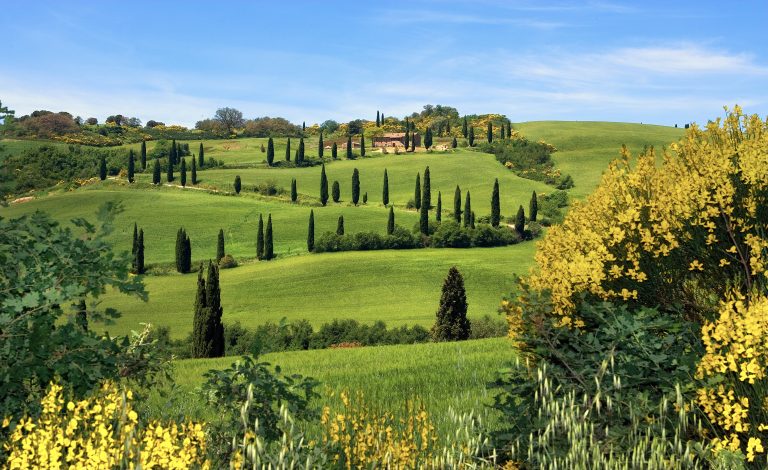 Hills Tuscany Italy Travel