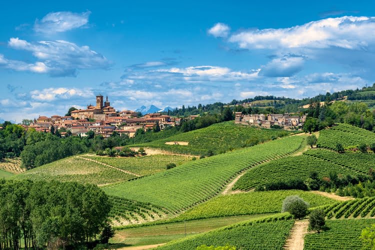 Monferrato Piedmont Wines Hills Italy