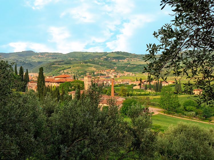 Valpolicella Hills Wine Vineyards Travel Italy