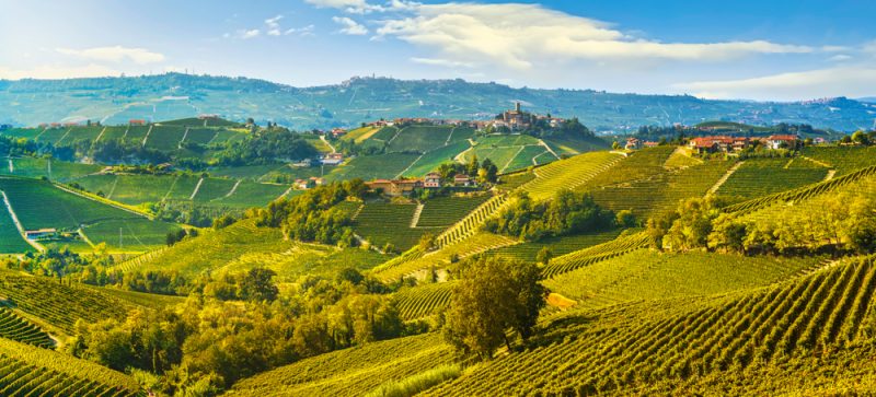 travel Langhe wineyards Italy