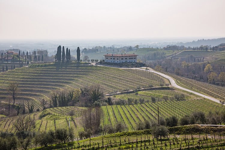 Collio Wine Vineyards Italy Travel