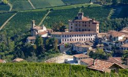 Travel wine Italy Barolo