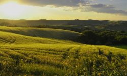 Travel Tuscany Crete Senesi Bike Tour