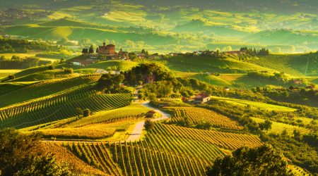 Travel wine Italy Langhe UNESCO