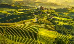 Langhe UNESCO Italy Travel