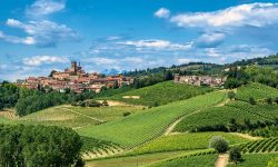 Monferrato Piedmont Wines Hills Italy