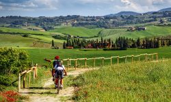 Tuscany Bike Tour Hills Vineyards