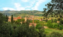 Valpolicella Hills Wine Vineyards Travel Italy