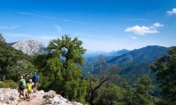 Wild Sardinia Travel Italy