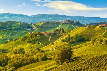 travel Langhe wineyards Italy