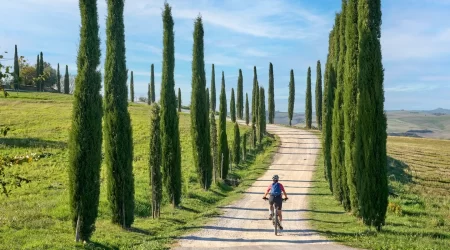 ountain bike in a cypress avenue in Tuscany,