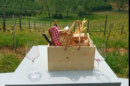 picnic langhe italy vineyards travel
