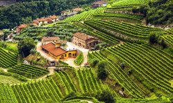 Valpolicella Hills Vineyards Wine Travel Italy Veneto