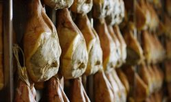 Parma Ham Travel Italy