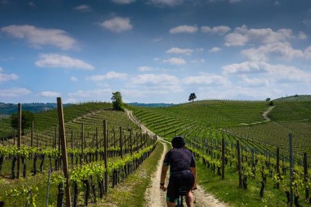 Langhe Bike Italy Travel Wine