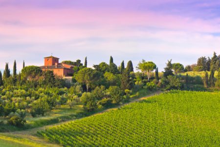 Travel Wine Tuscany Italy
